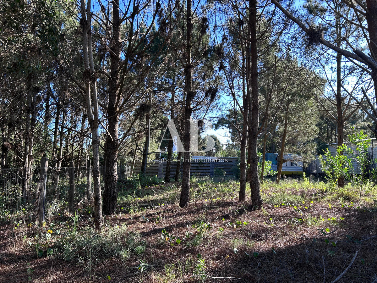 Terreno ID.256 - Solar en La Viuda - Manzana 203 - Punta del Diablo