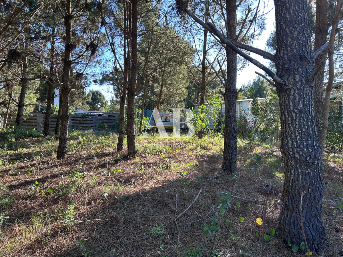 Terreno ID.256 - Solar en La Viuda - Manzana 203 - Punta del Diablo