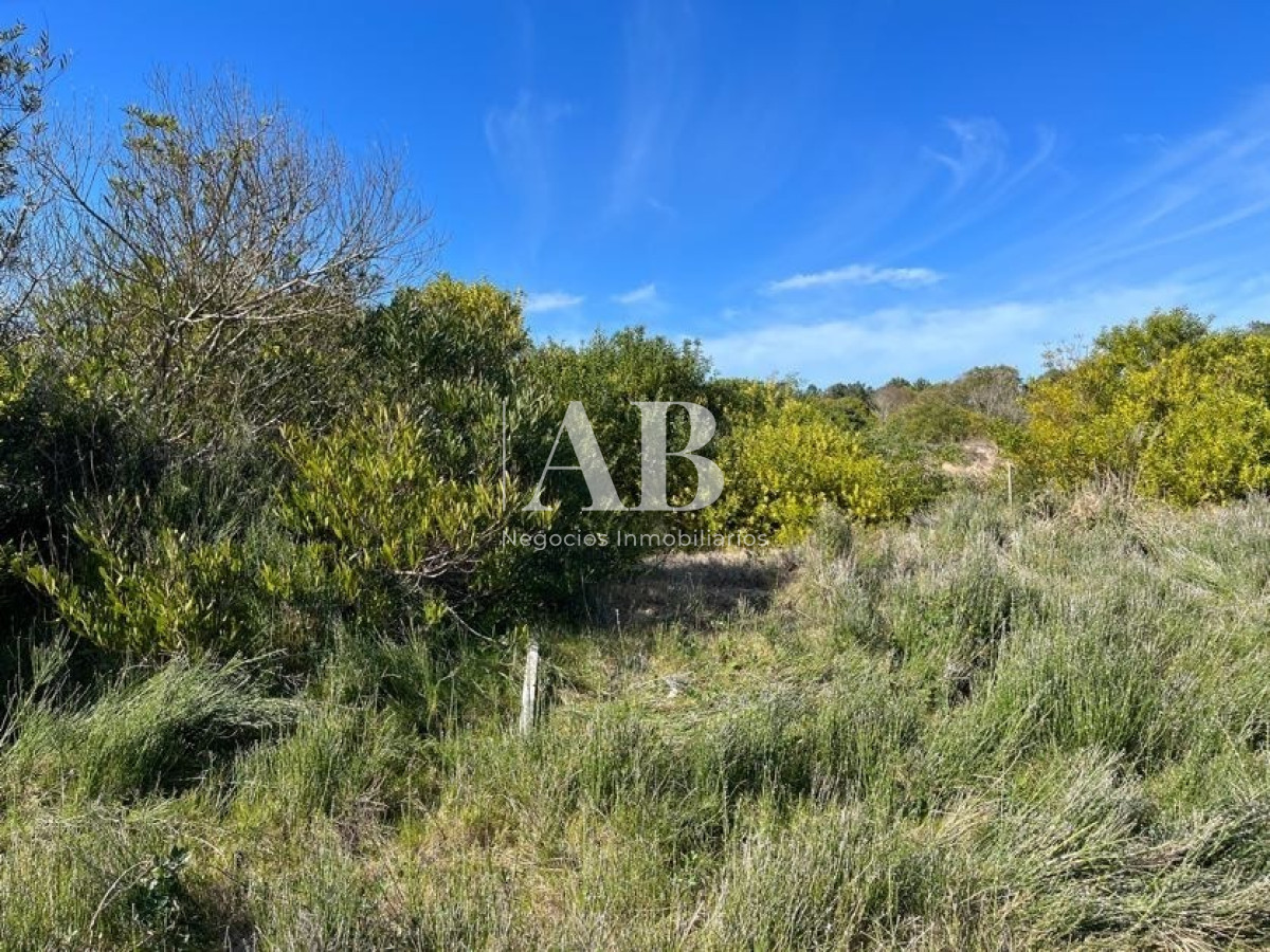 Terreno ID.22 - Terreno de 1000m2 en Playa Grande, segunda línea - Mza 19