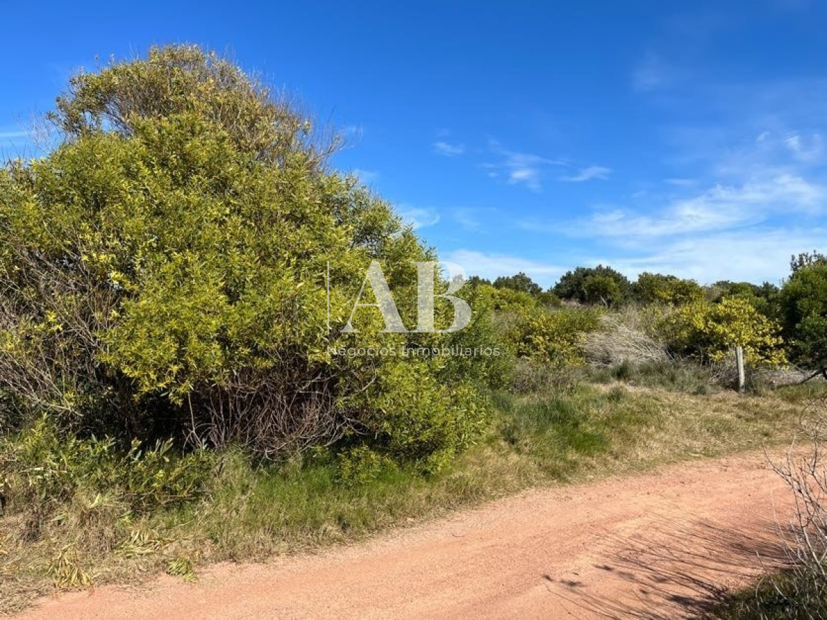 Terreno ID.22 - Terreno de 1000m2 en Playa Grande, segunda línea - Mza 19