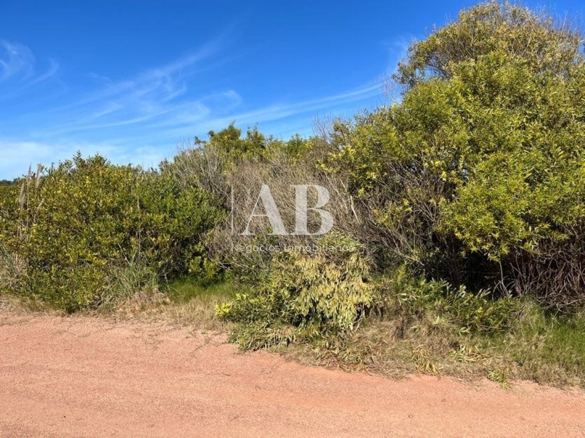 Terreno ID.22 - Terreno de 1000m2 en Playa Grande, segunda línea - Mza 19