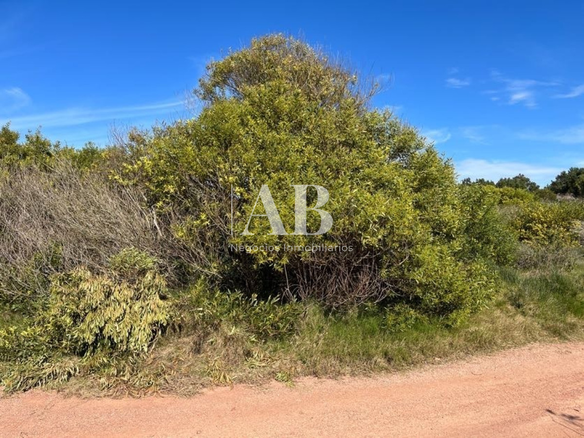 Terreno ID.22 - Terreno de 1000m2 en Playa Grande, segunda línea - Mza 19