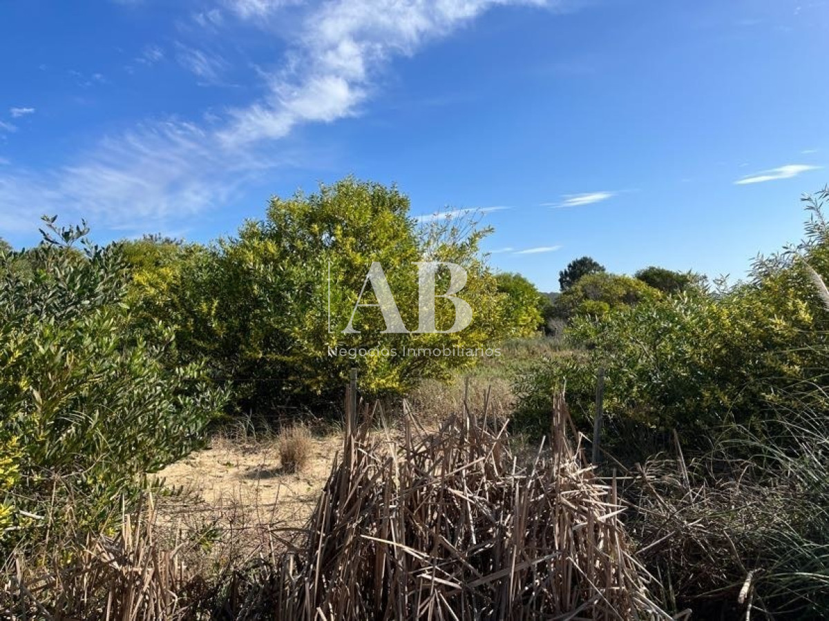 Terreno ID.22 - Terreno de 1000m2 en Playa Grande, segunda línea - Mza 19