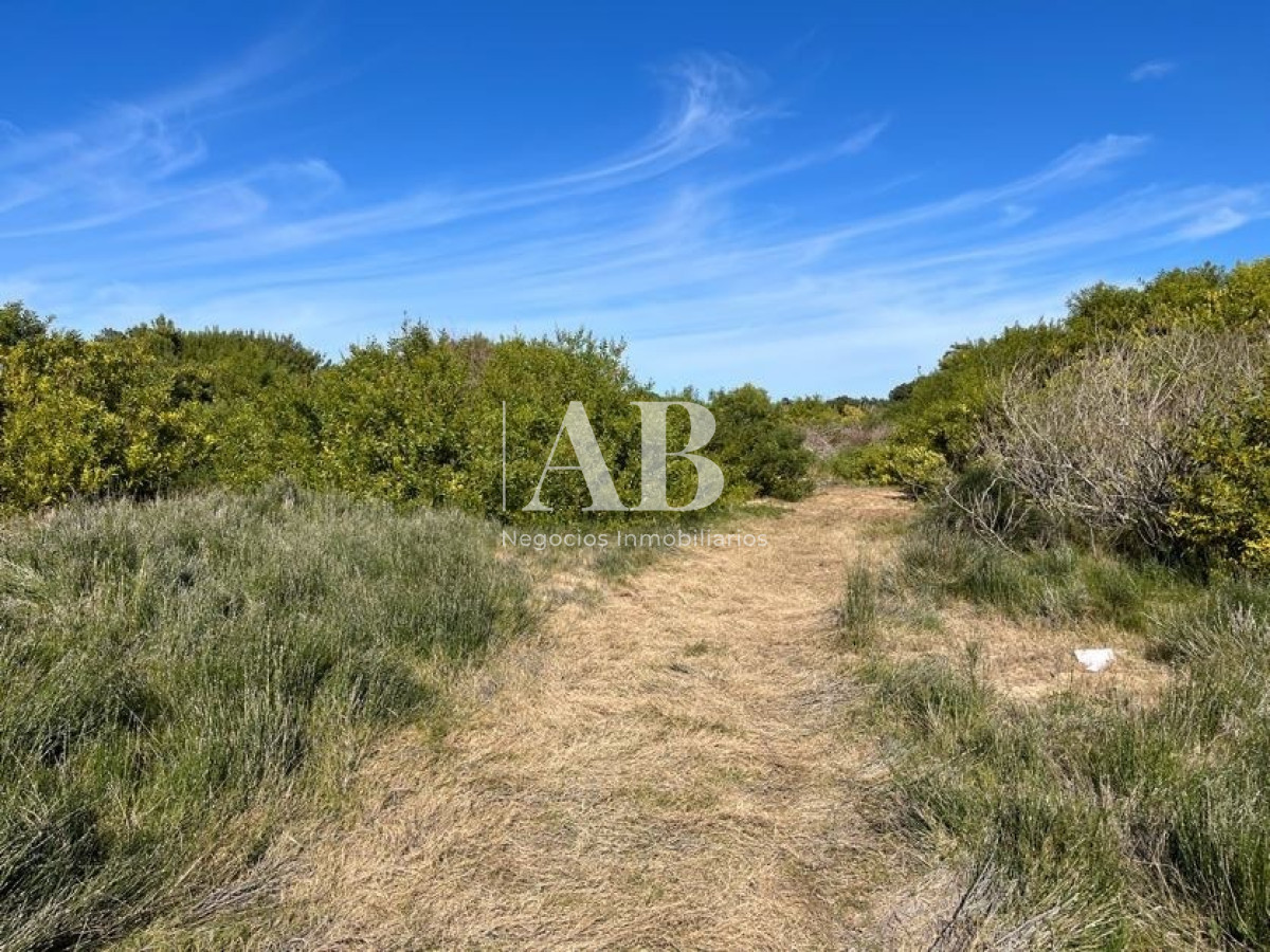 Terreno ID.22 - Terreno de 1000m2 en Playa Grande, segunda línea - Mza 19