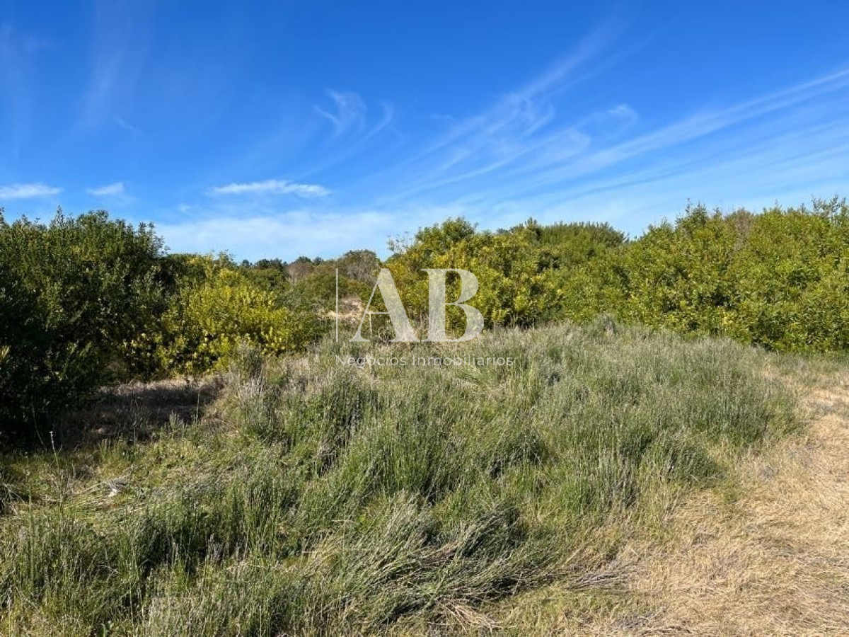 Terreno ID.22 - Terreno de 1000m2 en Playa Grande, segunda línea - Mza 19