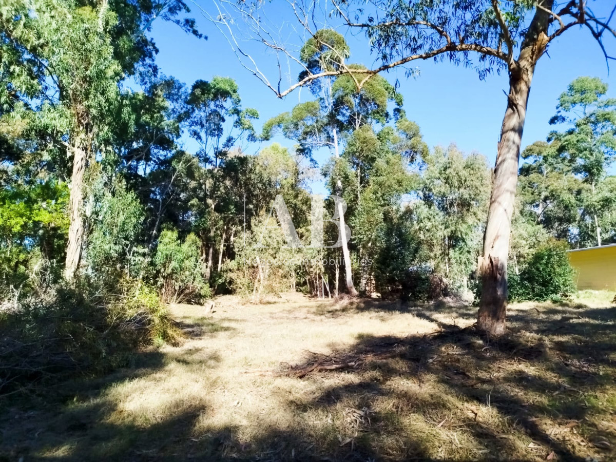 Apartamento ID.251 - Terreno zona Centro - La Esmeralda.