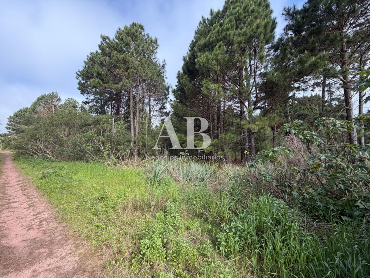 Terreno ID.385 - ¡ OPORTUNIDAD ! En venta 1000m2 en Punta Del Diablo Barrio Pinares