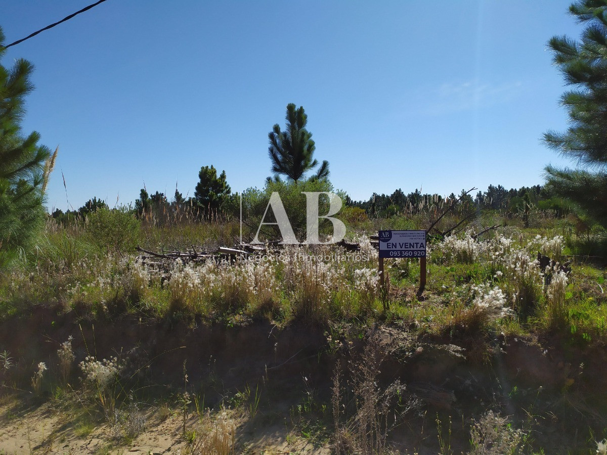 Terreno ID.27 - Terrenos - Barrio Pinares - Mza 102