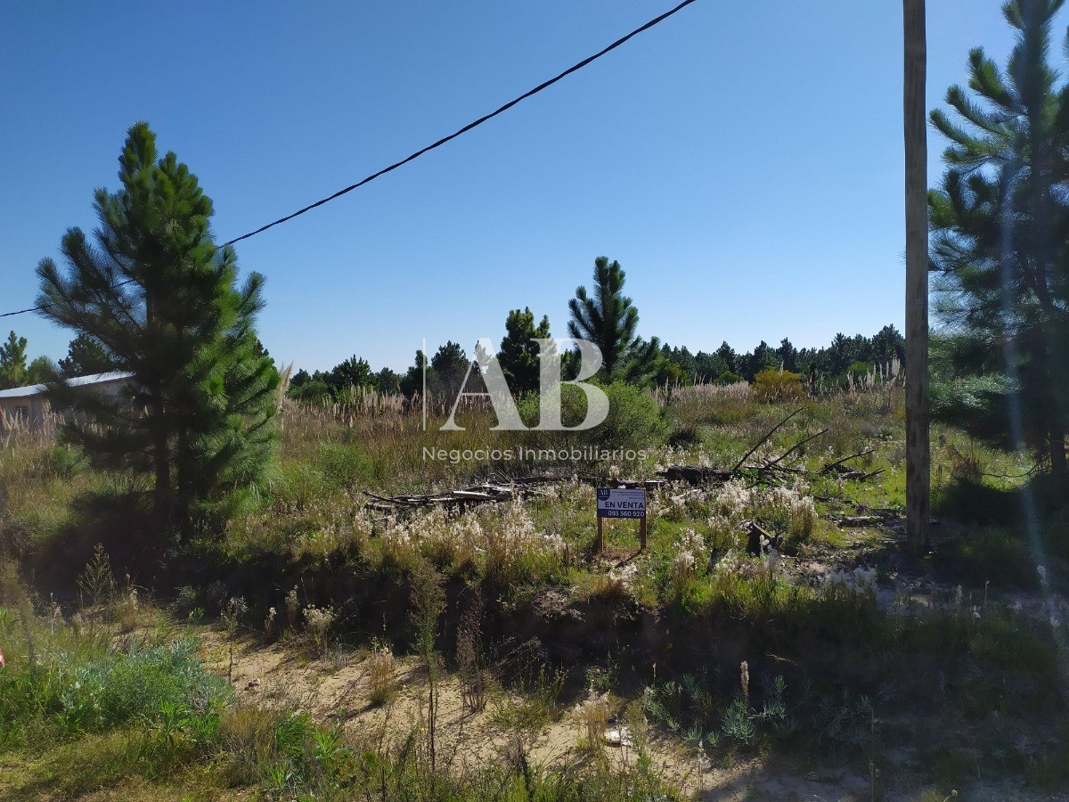 Terreno ID.27 - Terrenos - Barrio Pinares - Mza 102