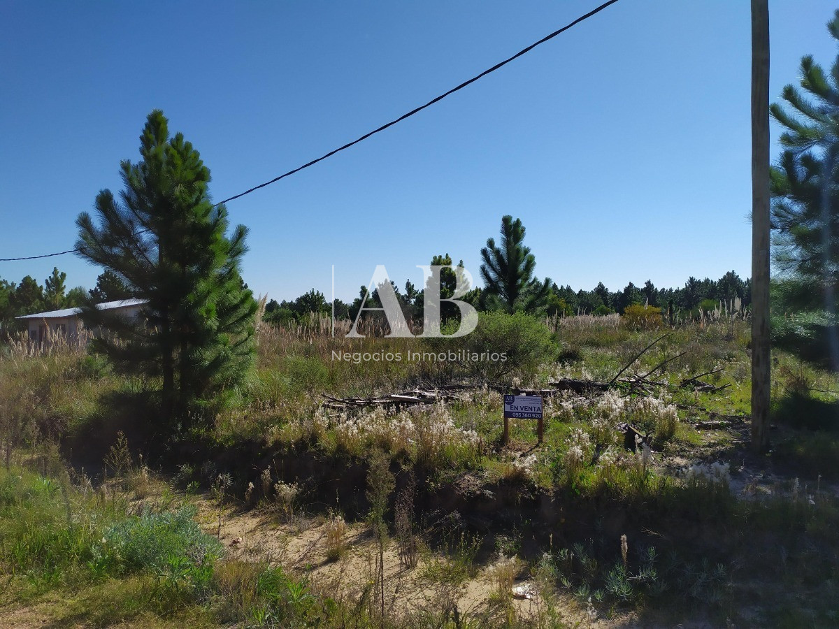 Terreno ID.27 - Terrenos - Barrio Pinares - Mza 102