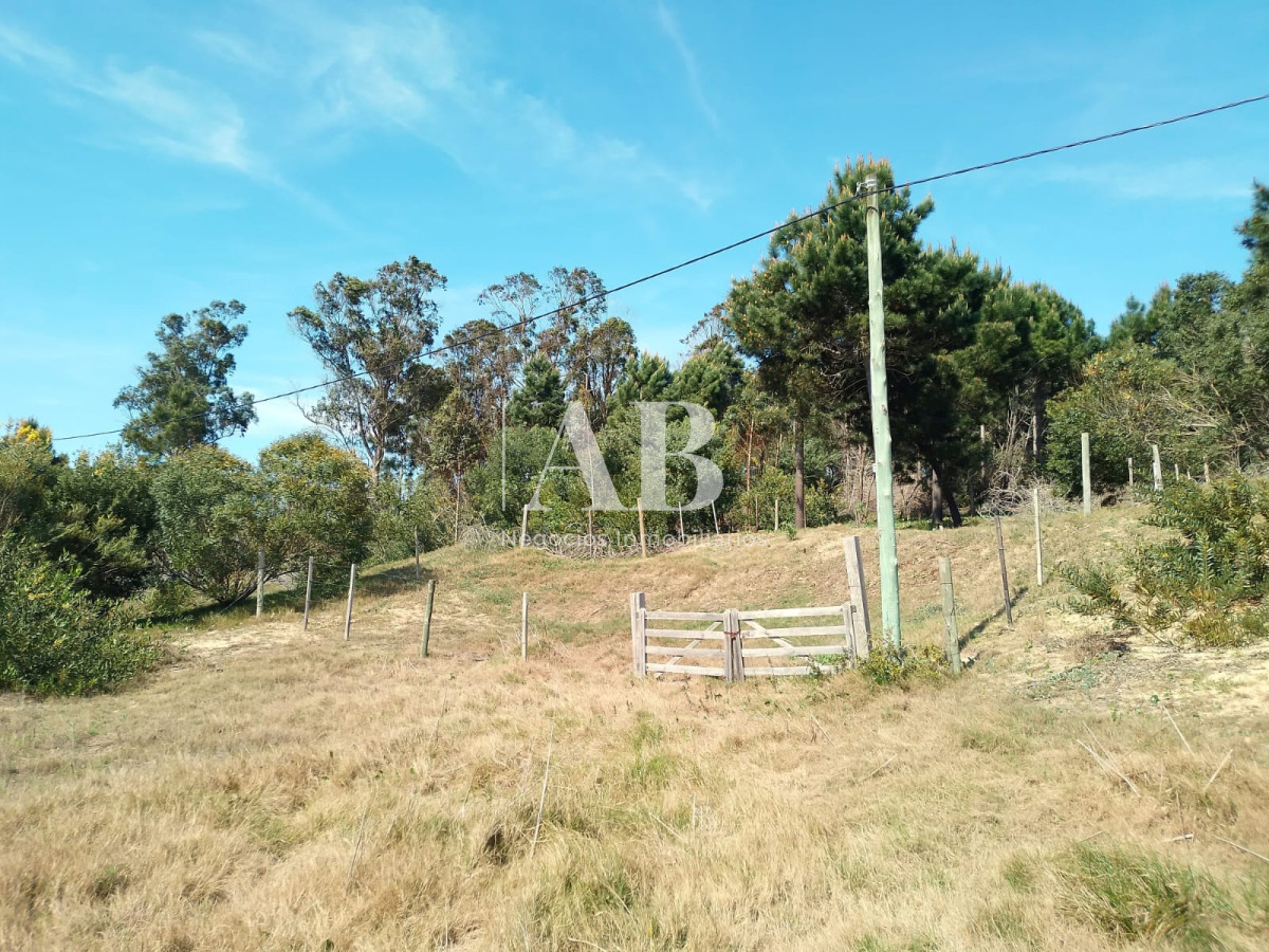 Terreno ID.156 - Terreno elevado La Esmeralda Av. 54 Mza 238