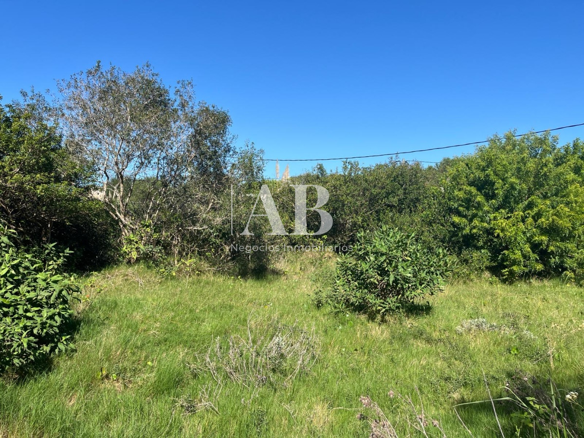 Terreno ID.113 - Terreno zona bosque Punta del Diablo - Mza 60