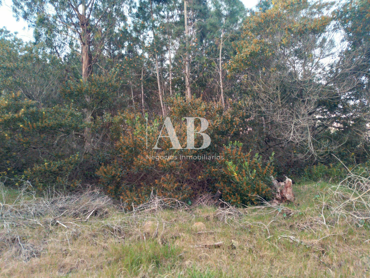 Terreno ID.146 - Terreno La Esmeralda calle 37 Mza. 222