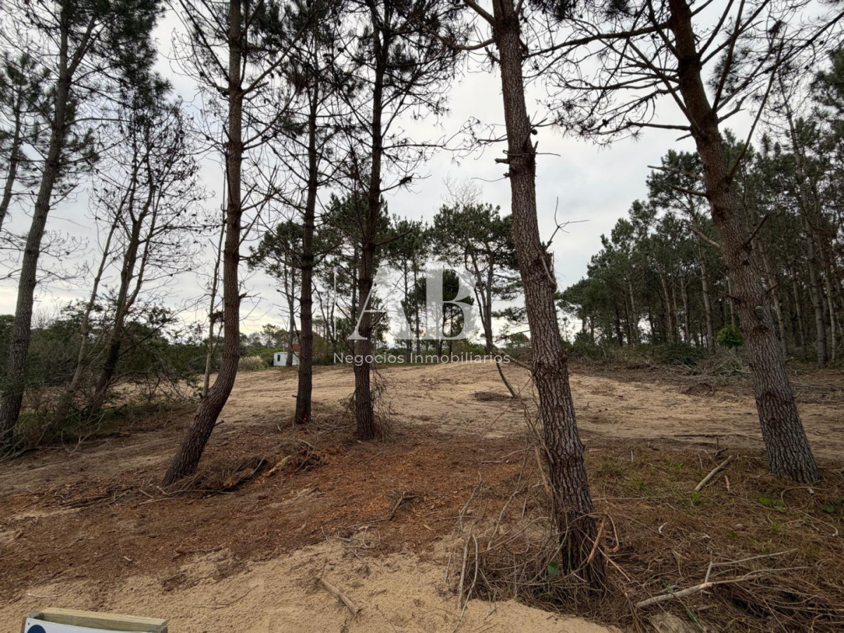 Terreno ID.319 - En venta Solar Esquinero Punta del Diablo- La Viuda