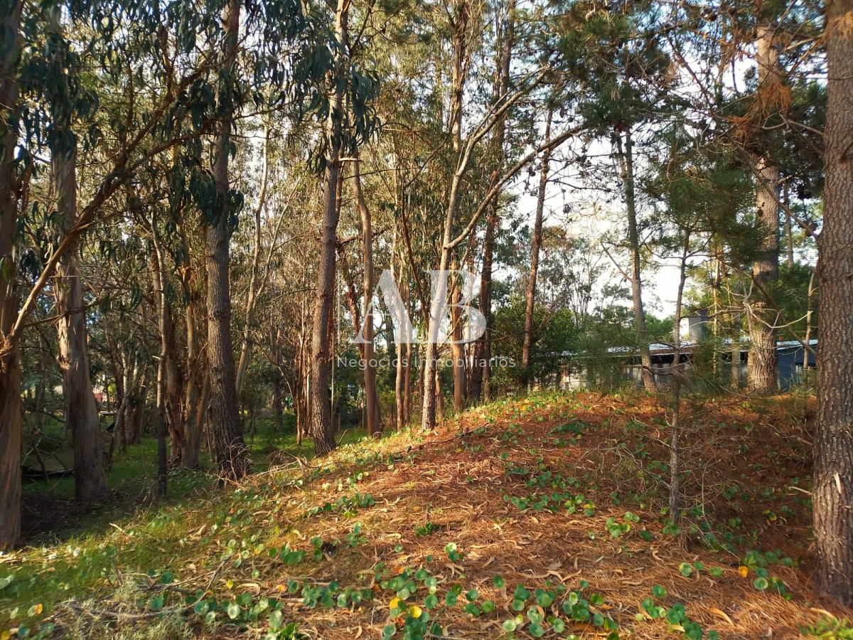 Terreno ID.132 - Terreno en La Esmeralda centro - Mza 312