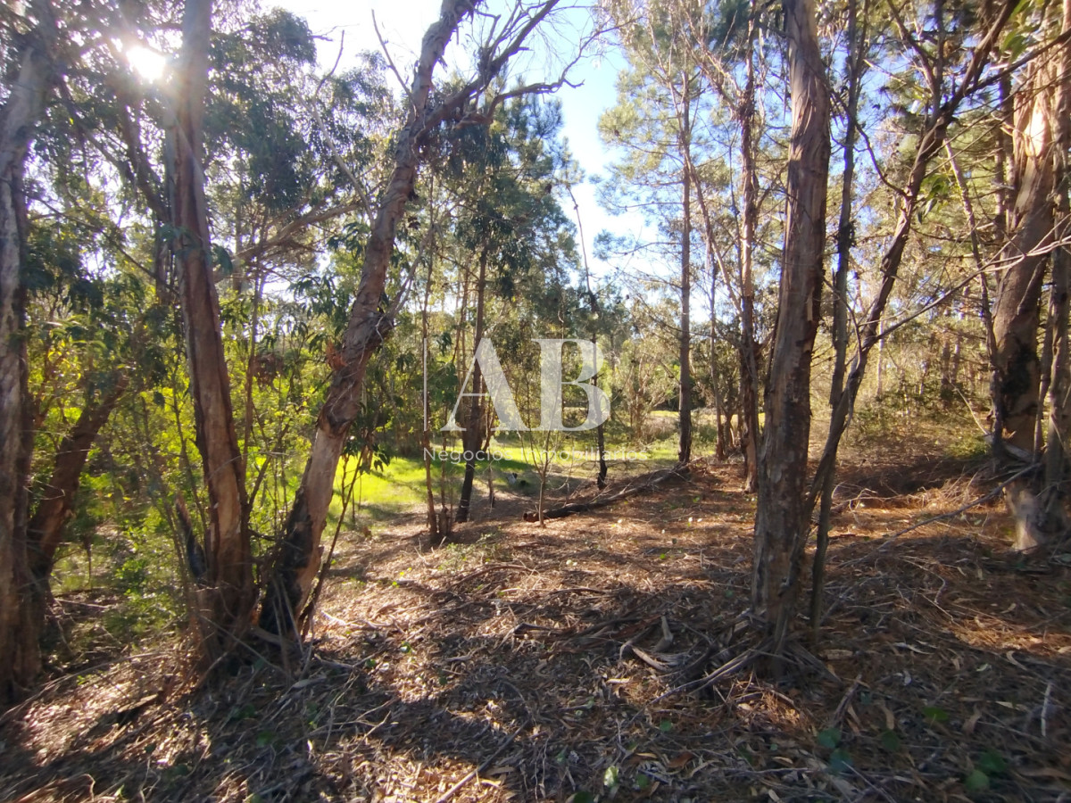Terreno ID.299 - Lote de 1050m2 a pocas cuadras de la playa