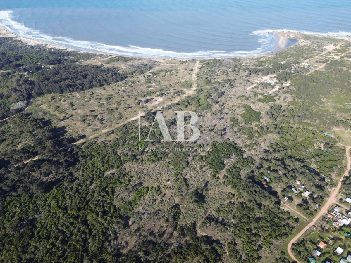 Terreno ID.367 - OPORTUNIDAD para desarrollo 10 lotes 3A LINEA PLAYA GRANDE, Punta Del Diablo