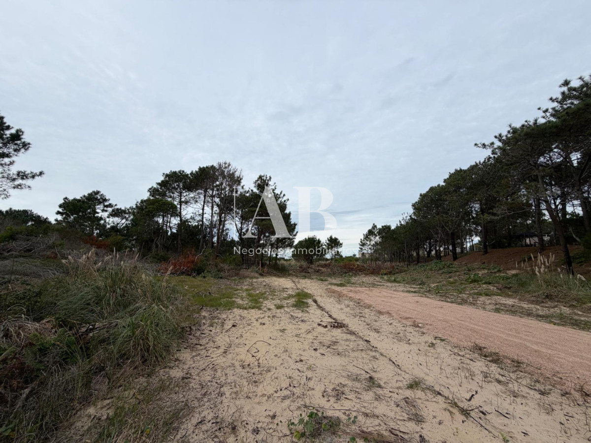 Terreno ID.322 - Solar Esquinero a 400M de la Playa- La Viuda