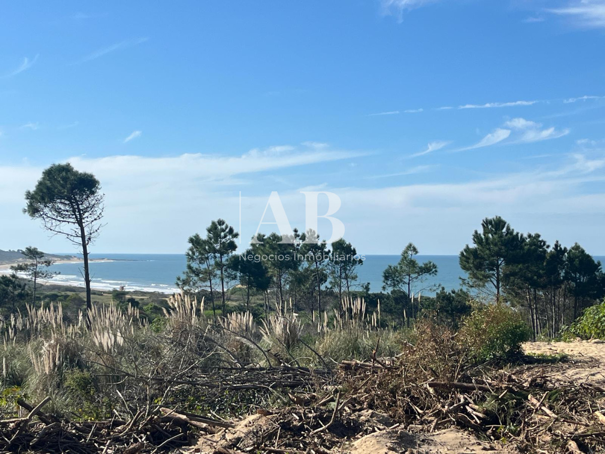 Terreno ID.214 - Solar en segunda línea Playa Grande - Punta del Diablo