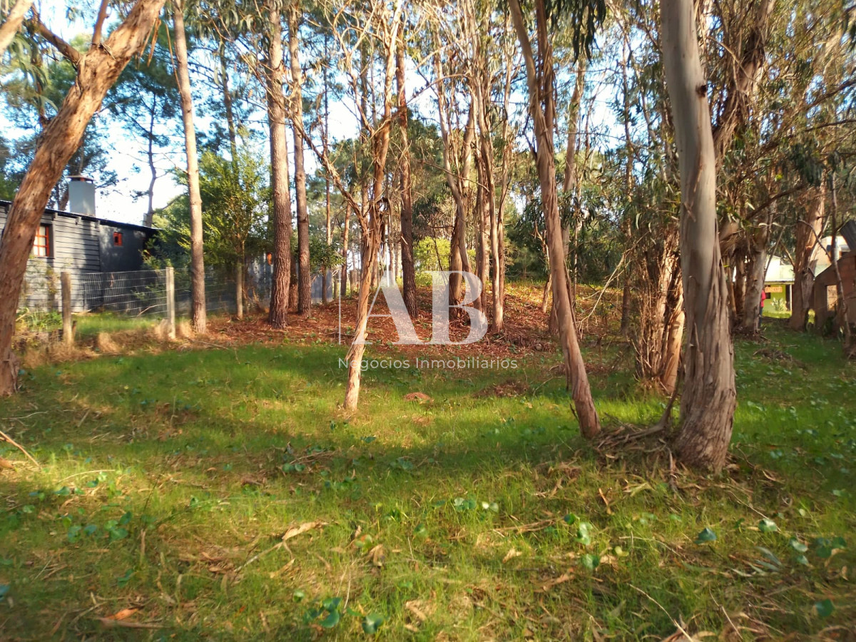 Terreno ID.132 - Terreno en La Esmeralda centro - Mza 312