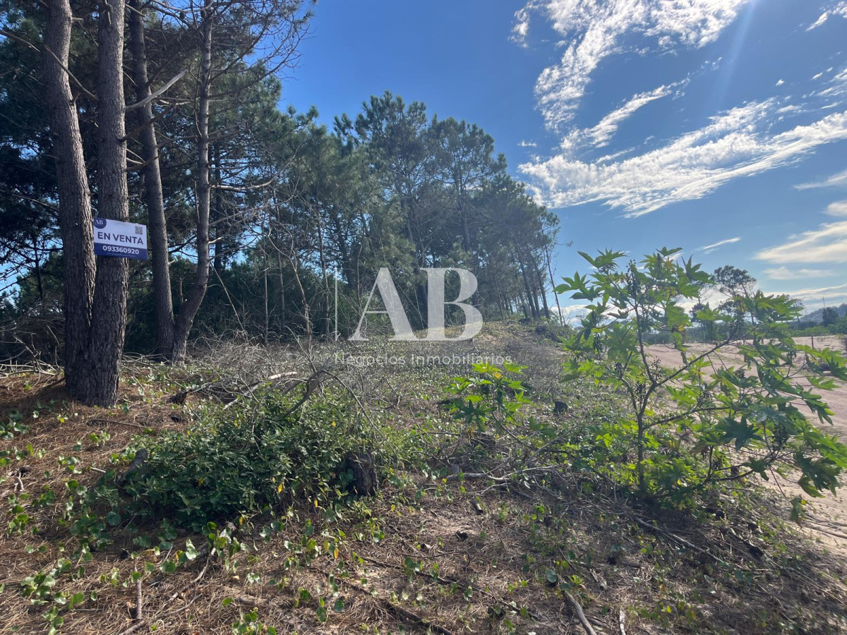 Terreno ID.213 - Solares con vista al mar 2da línea Playa Grande - Punta del Diablo