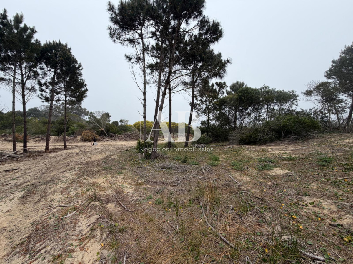 Terreno ID.382 - Oportunidad solar en Playa La Viuda a 10 cuadras del Mar ! FINANCIADO solar 3