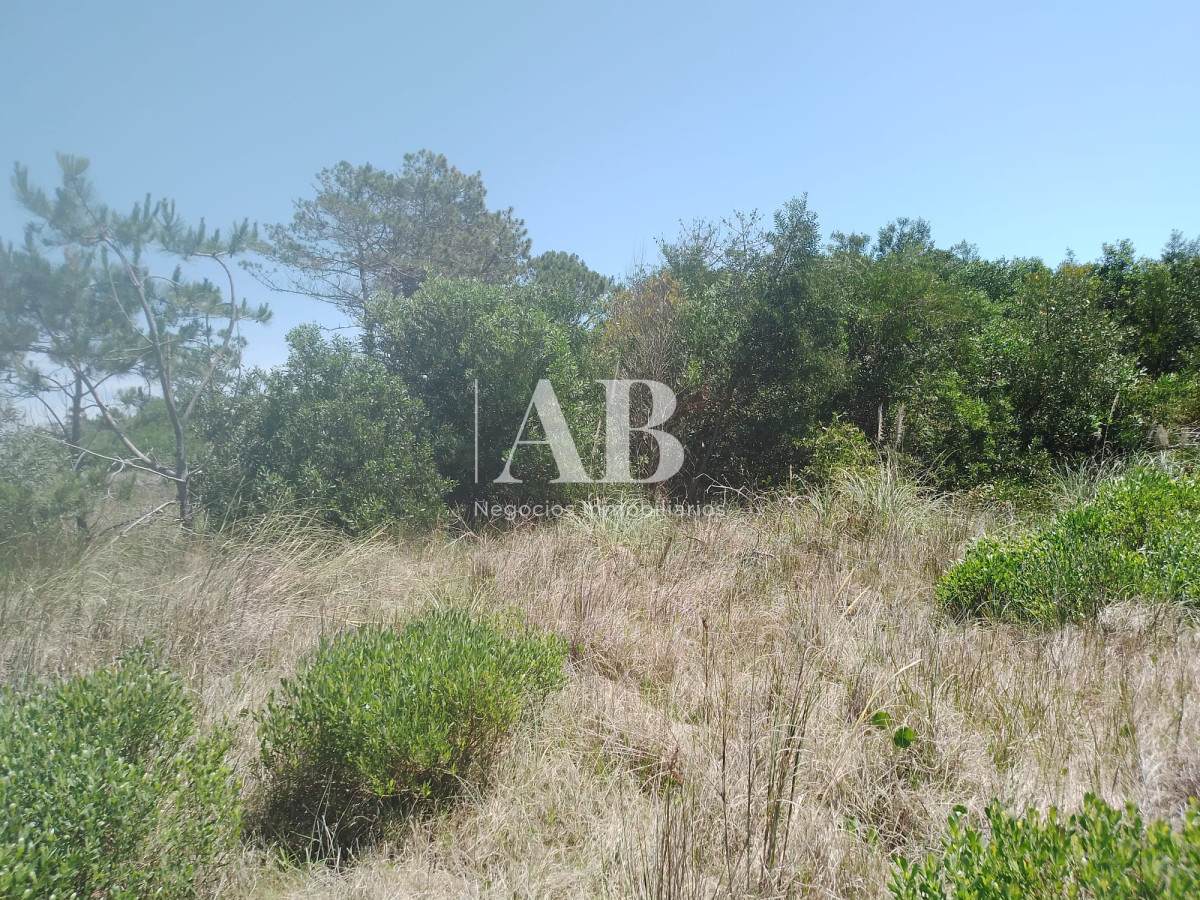 Terreno ID.166 - En venta 2 solares juntos o separados en excelente ubicación en La Esmeralda.