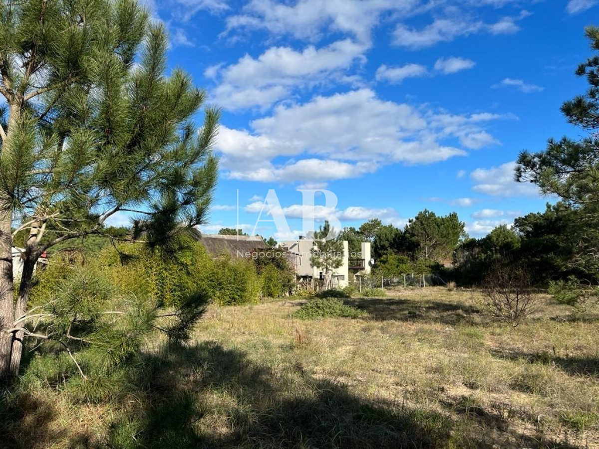 Terreno ID.4 - Terrenos 1500m2 - A 350m De La Viuda - Mza 187