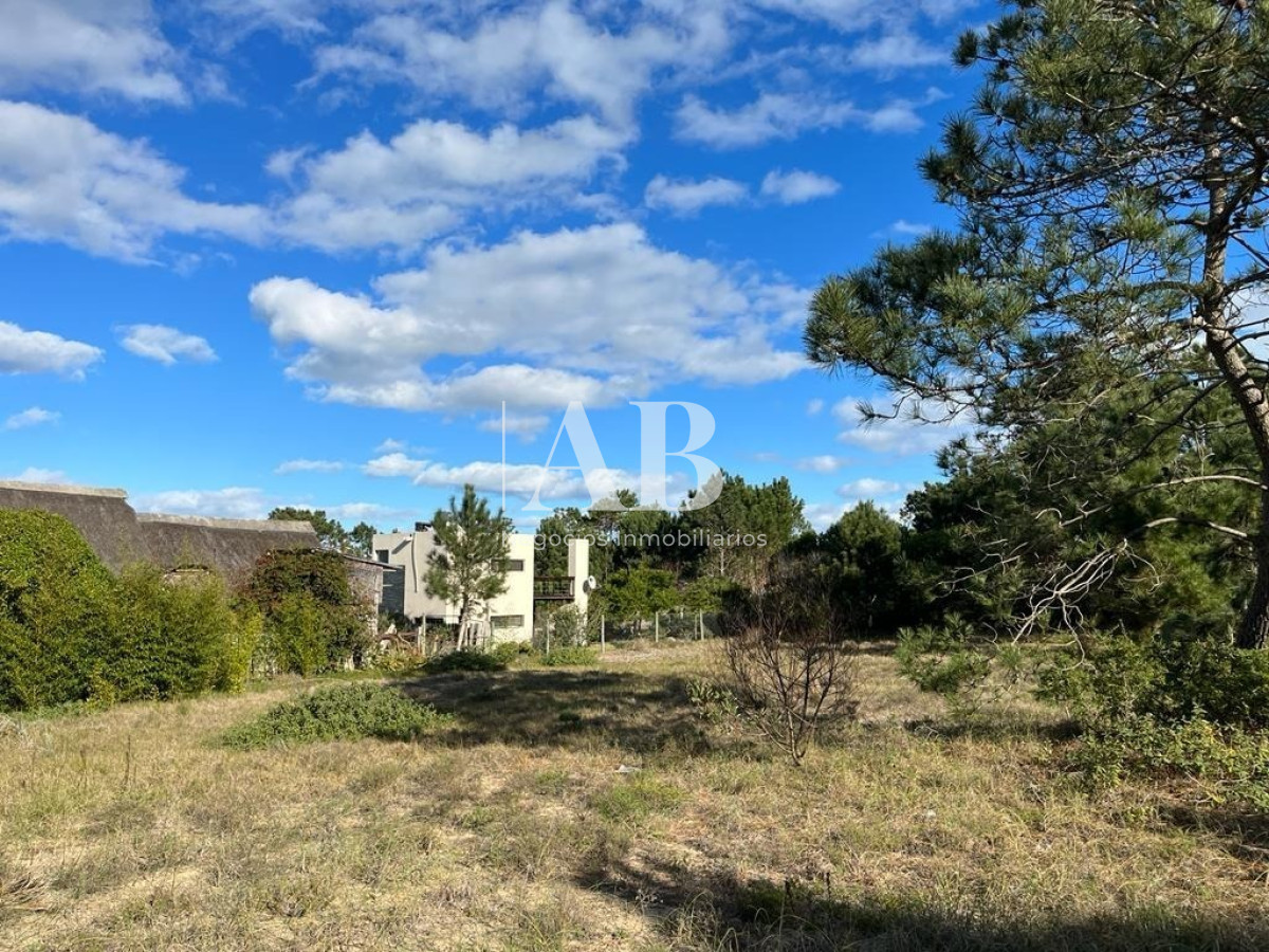 Terreno ID.4 - Terrenos 1500m2 - A 350m De La Viuda - Mza 187