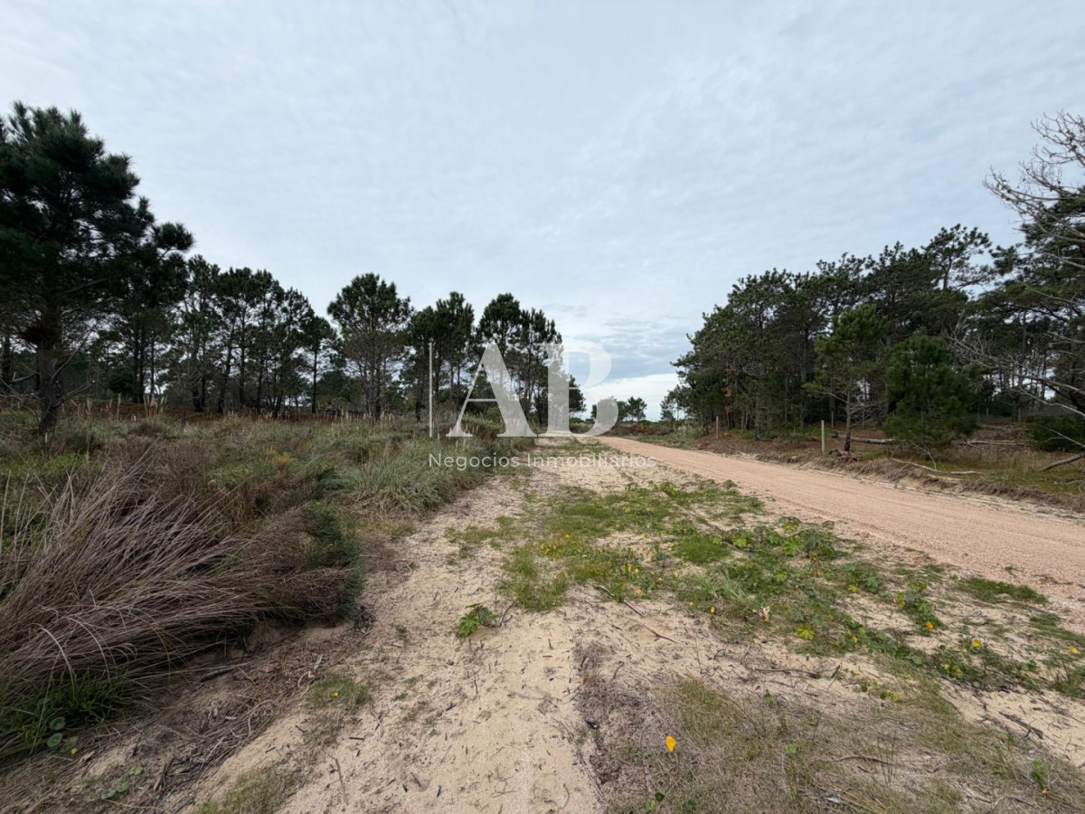 Terreno ID.322 - Solar Esquinero a 400M de la Playa- La Viuda