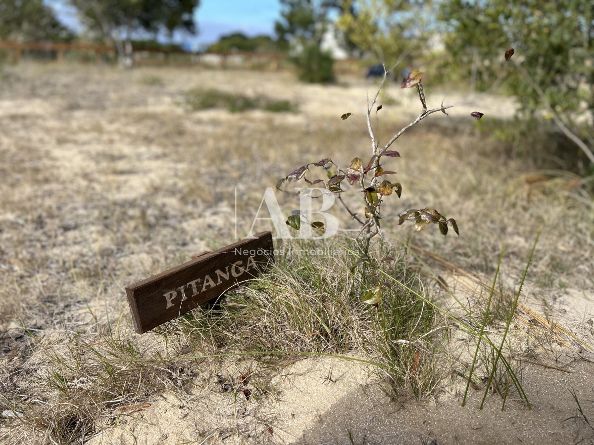 Terreno ID.243 - Terreno en Punta del Diablo a 200m Playa LaViuda - Solar 1