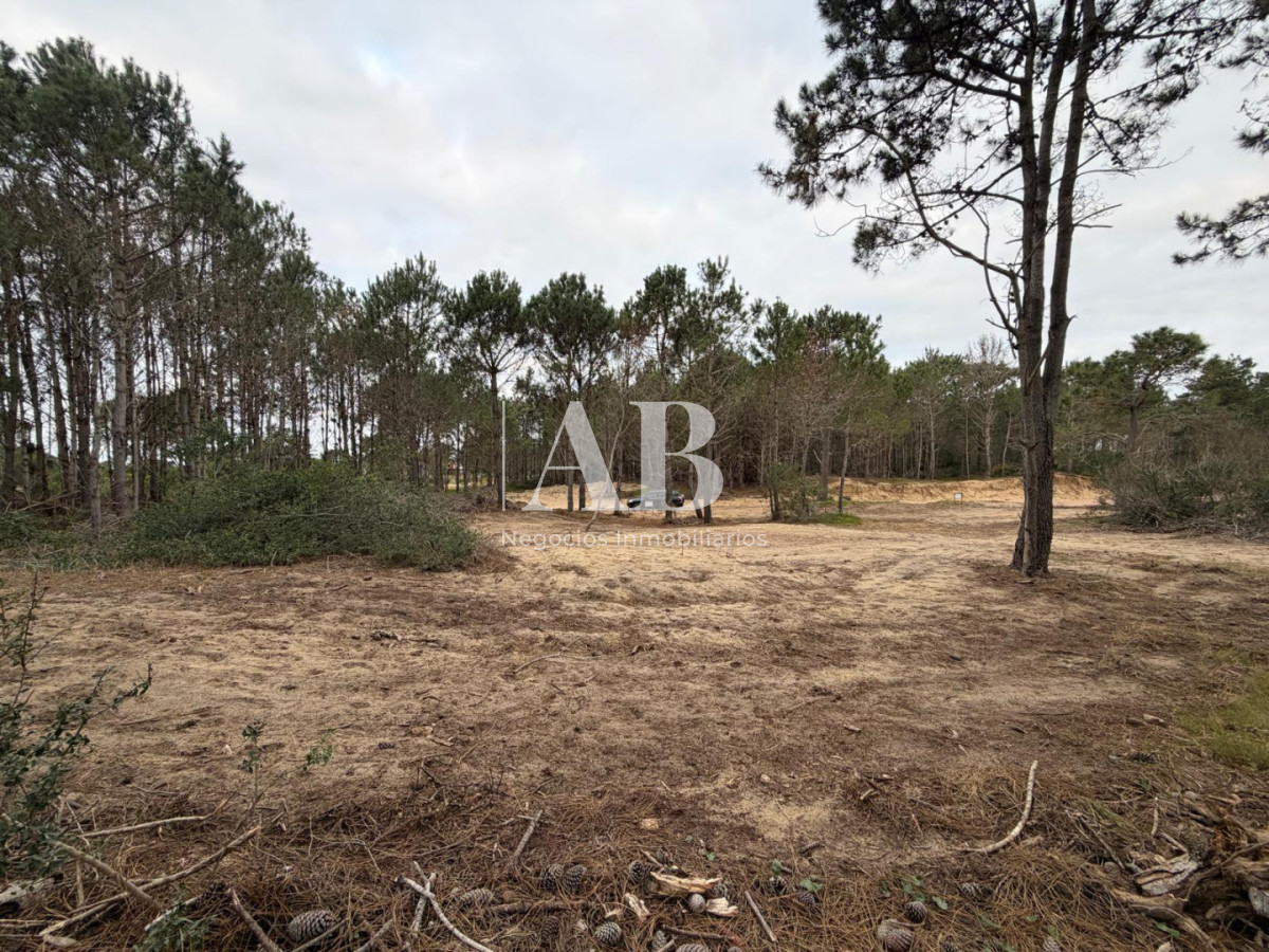 Terreno ID.319 - En venta Solar Esquinero Punta del Diablo- La Viuda