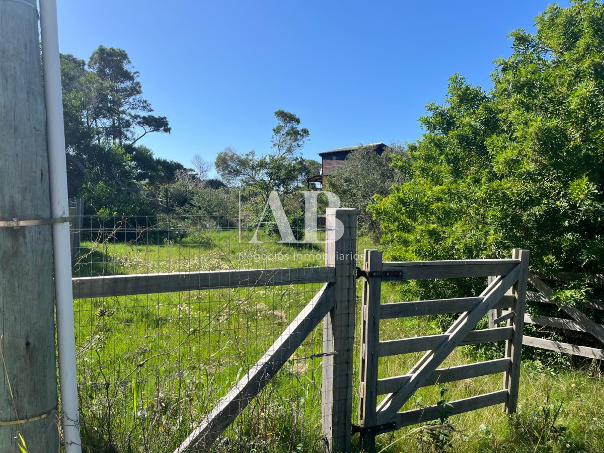 Terreno ID.113 - Terreno zona bosque Punta del Diablo - Mza 60