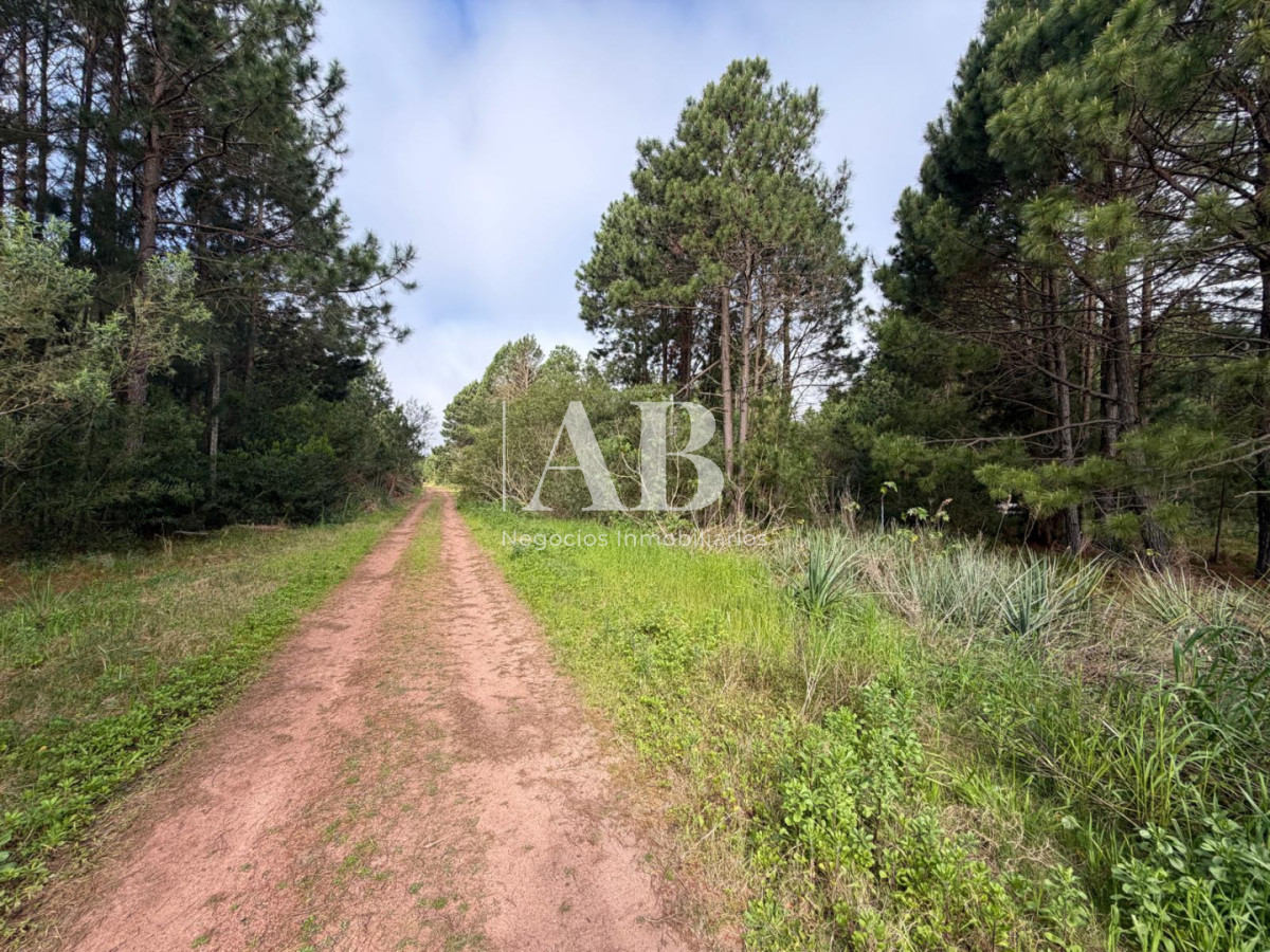 Terreno ID.385 - ¡ OPORTUNIDAD ! En venta 1000m2 en Punta Del Diablo Barrio Pinares