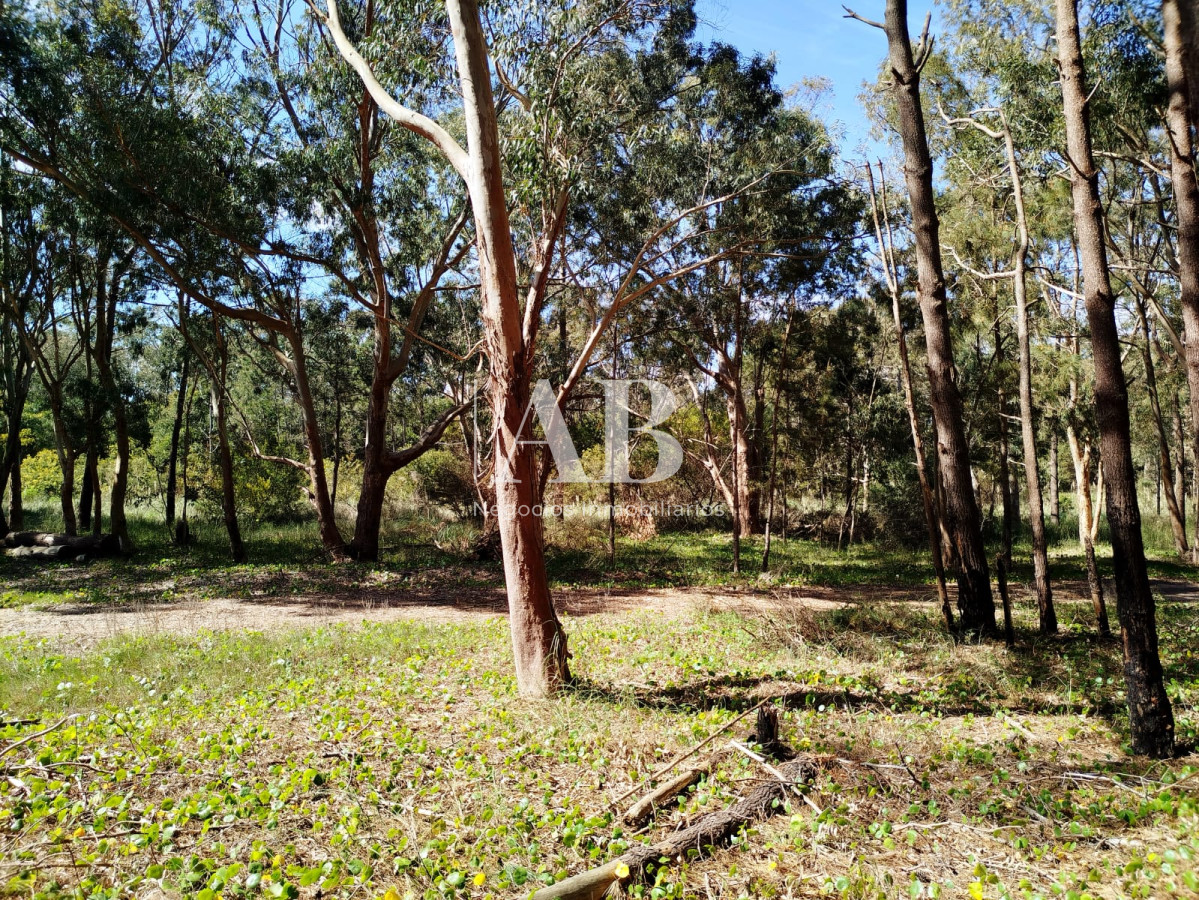 Terreno ID.273 - Dos terrenos a pocos metros de la playa en La Esmeralda.