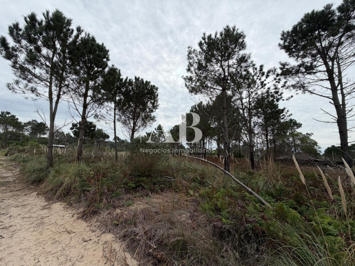 Terreno ID.322 - Solar Esquinero a 400M de la Playa- La Viuda