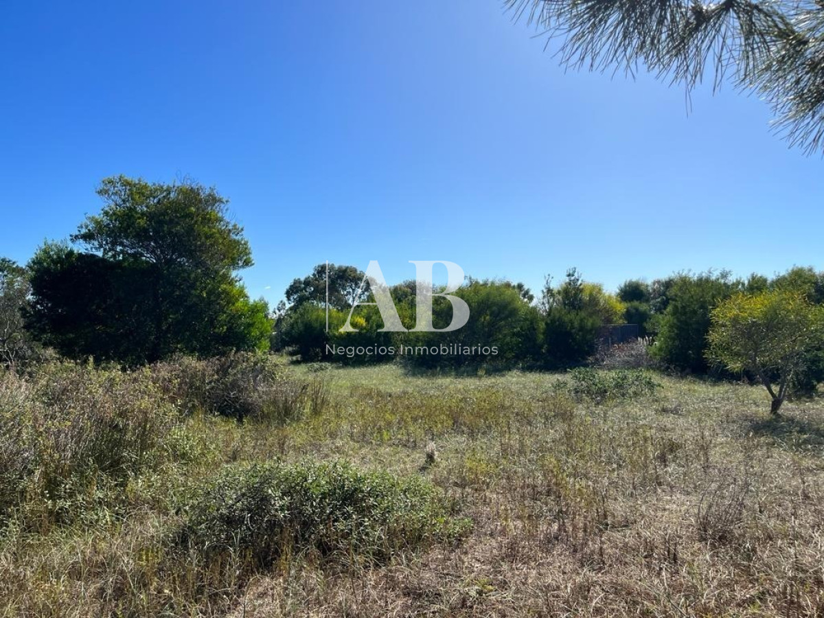 Terreno ID.58 - Terrenos Financiados - Zona Barraca - Mza 471 472