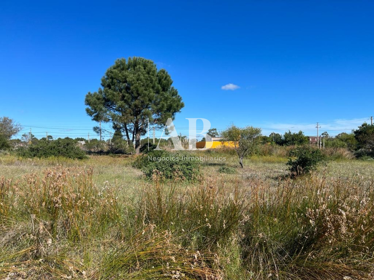 Terreno ID.58 - Terrenos Financiados - Zona Barraca - Mza 471 472