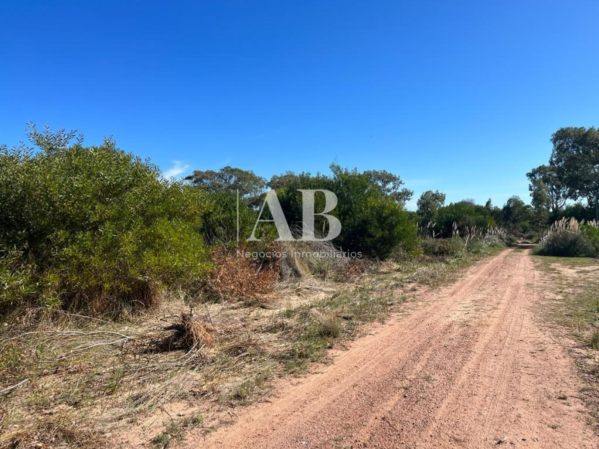 Terreno ID.58 - Terrenos Financiados - Zona Barraca - Mza 471 472