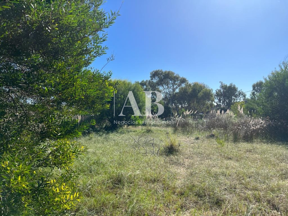 Terreno ID.58 - Terrenos Financiados - Zona Barraca - Mza 471 472