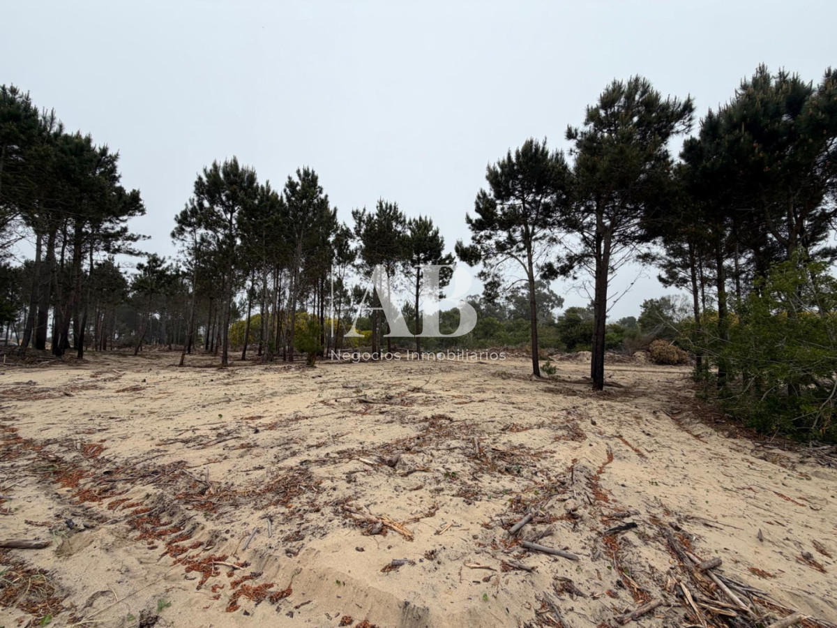 Terreno ID.381 - Oportunidad solar en Playa La Viuda a 10 cuadras del Mar ! FINANCIADO solar 5