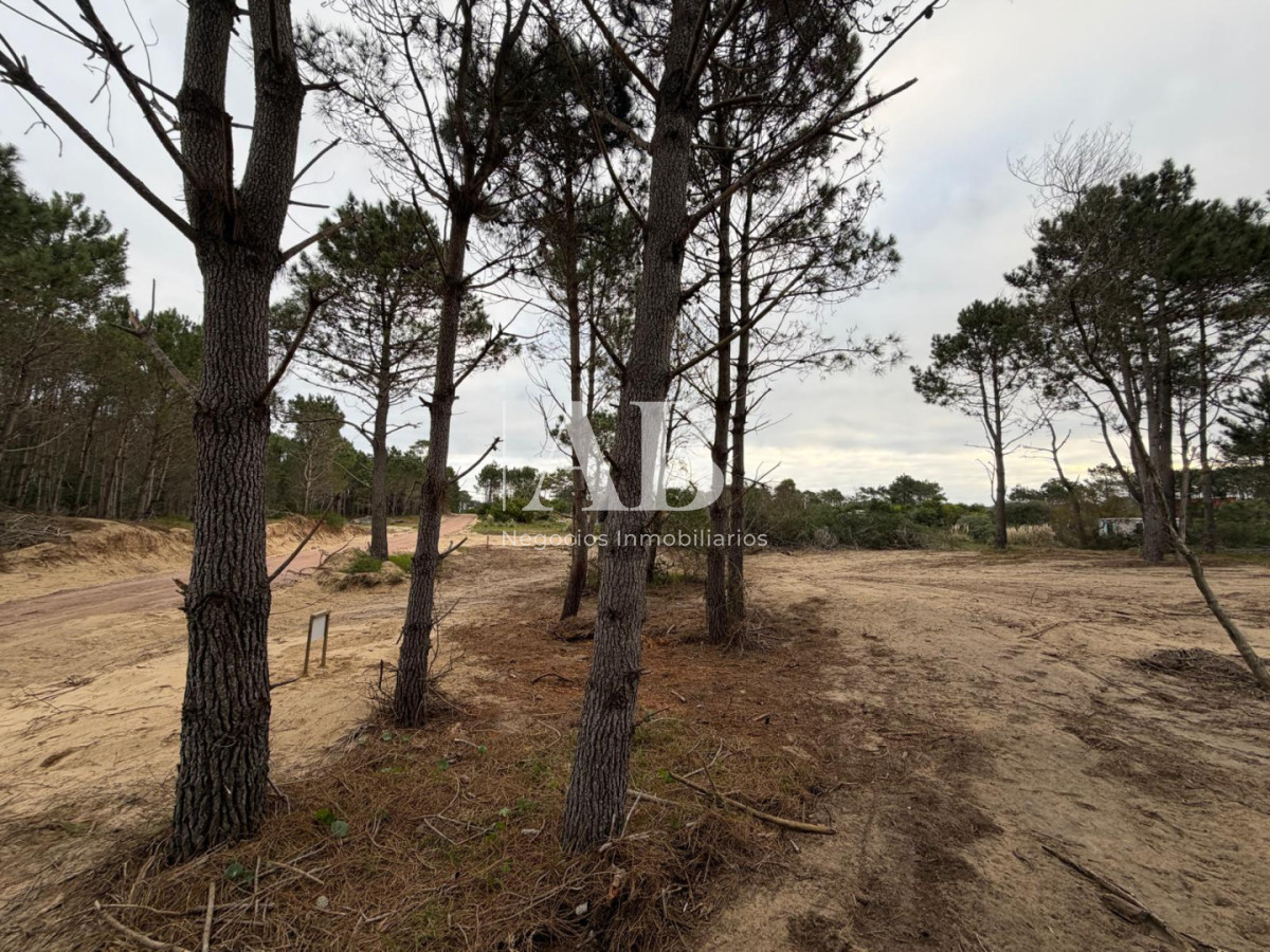 Terreno ID.319 - En venta Solar Esquinero Punta del Diablo- La Viuda