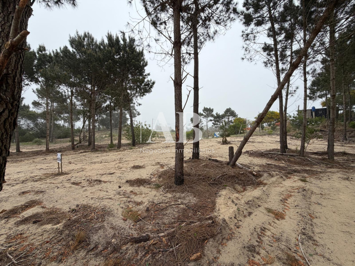 Terreno ID.381 - Oportunidad solar en Playa La Viuda a 10 cuadras del Mar ! FINANCIADO solar 5