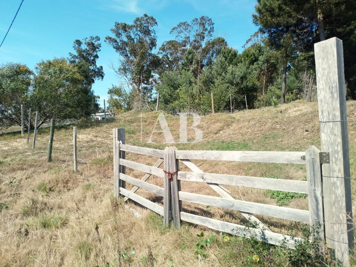 Terreno ID.156 - Terreno elevado La Esmeralda Av. 54 Mza 238