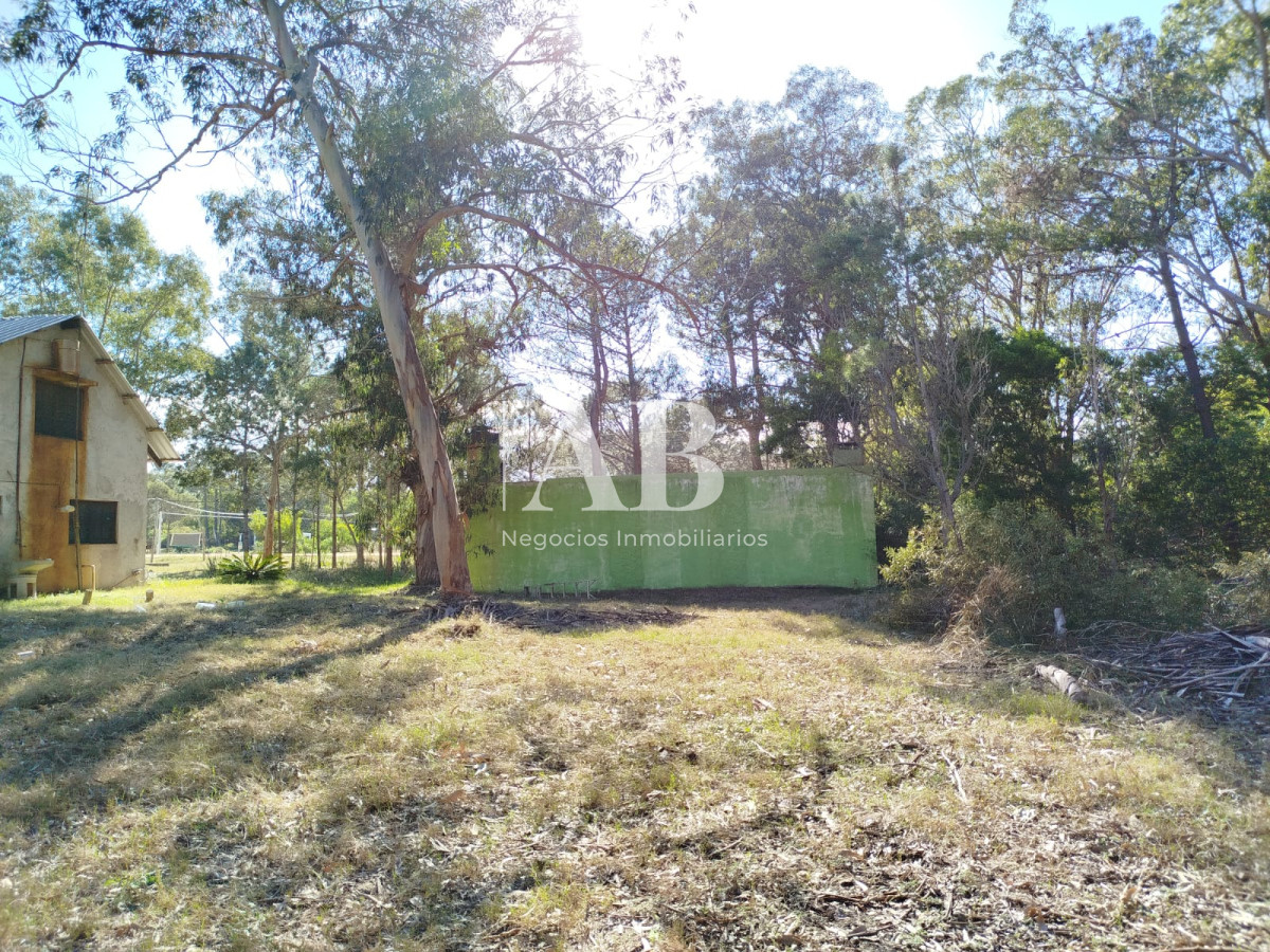 Apartamento ID.251 - Terreno zona Centro - La Esmeralda.