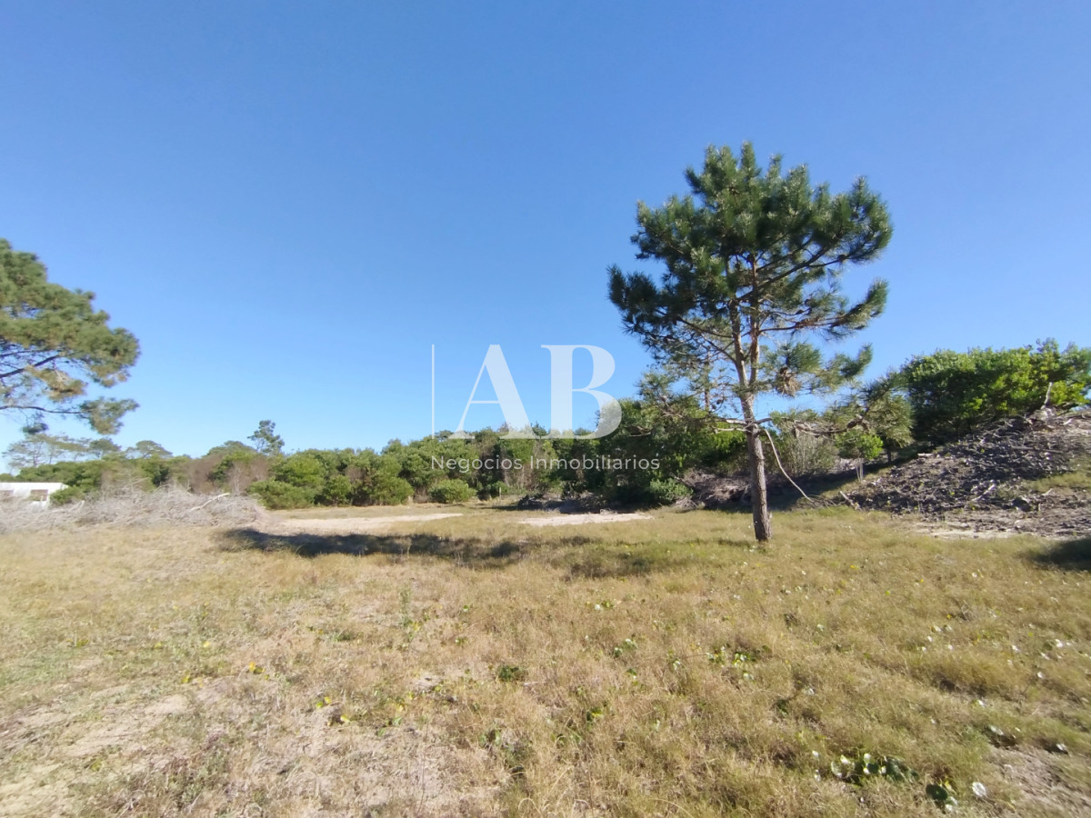Terreno ID.329 - La Esmeralda. Terreno nivelado y limpio a metros de la playa.
