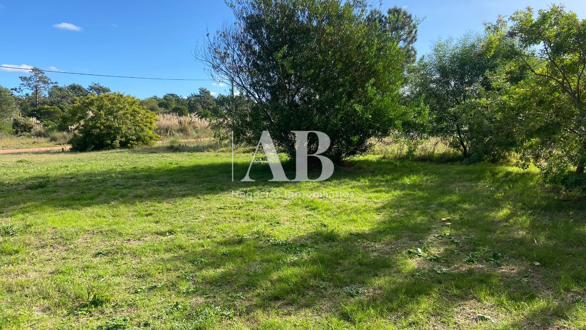 Terreno ID.66 - Terreno A 7 Cuadras De La Viuda - Mza 214