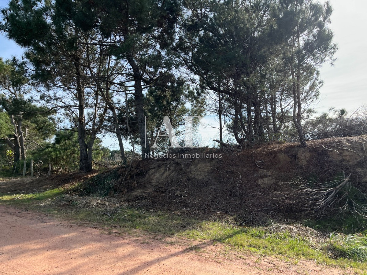 Terreno ID.67 - Terrenos en 2da linea Playa Grande - Financiados -  Punta del Diablo
