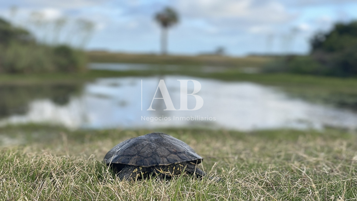 Terreno ID.86 - Barrio Privado al Mar - Lotes de 2500m2 - La Coronilla