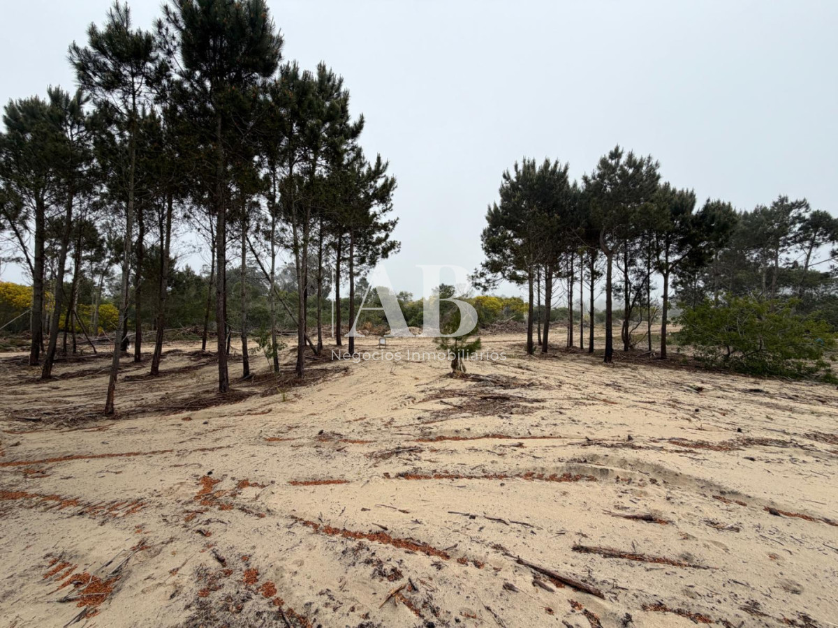 Terreno ID.381 - Oportunidad solar en Playa La Viuda a 10 cuadras del Mar ! FINANCIADO solar 5